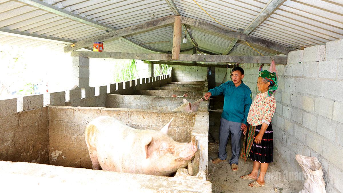 Gia đình bà Giàng Thị Mo là một trong những hộ làm kinh tế giỏi ở thôn Há Lìa.