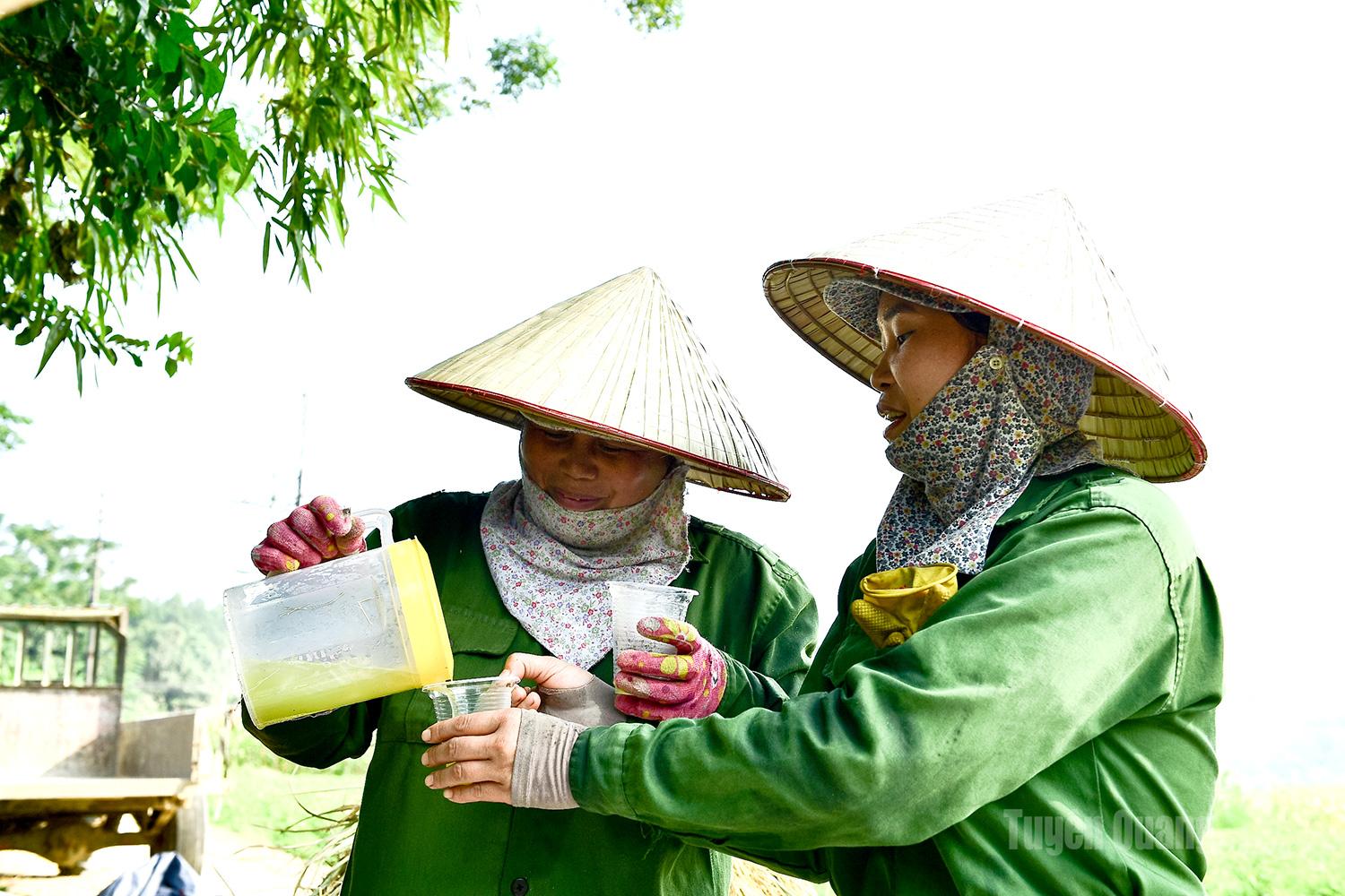 People are taking advantage of the early morning hours to work, equipped with protective gear and drinking water.