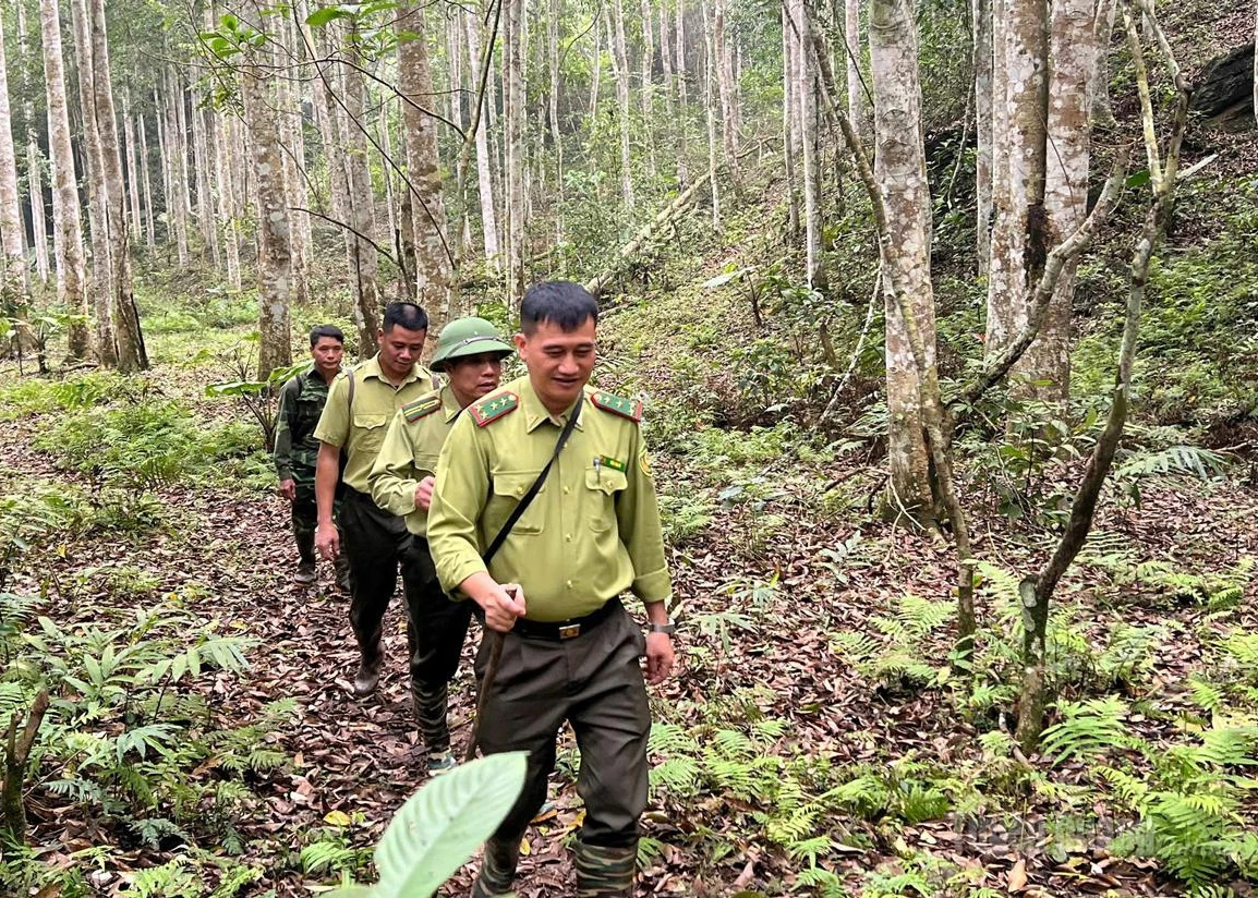Forest rangers in Region V patrol and monitor forest fire risks.