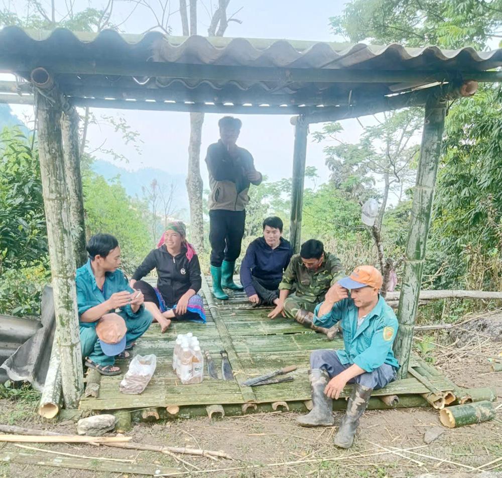 Forest owners in Hoang Su Phi Commune set up checkpoints to control access to forest areas.