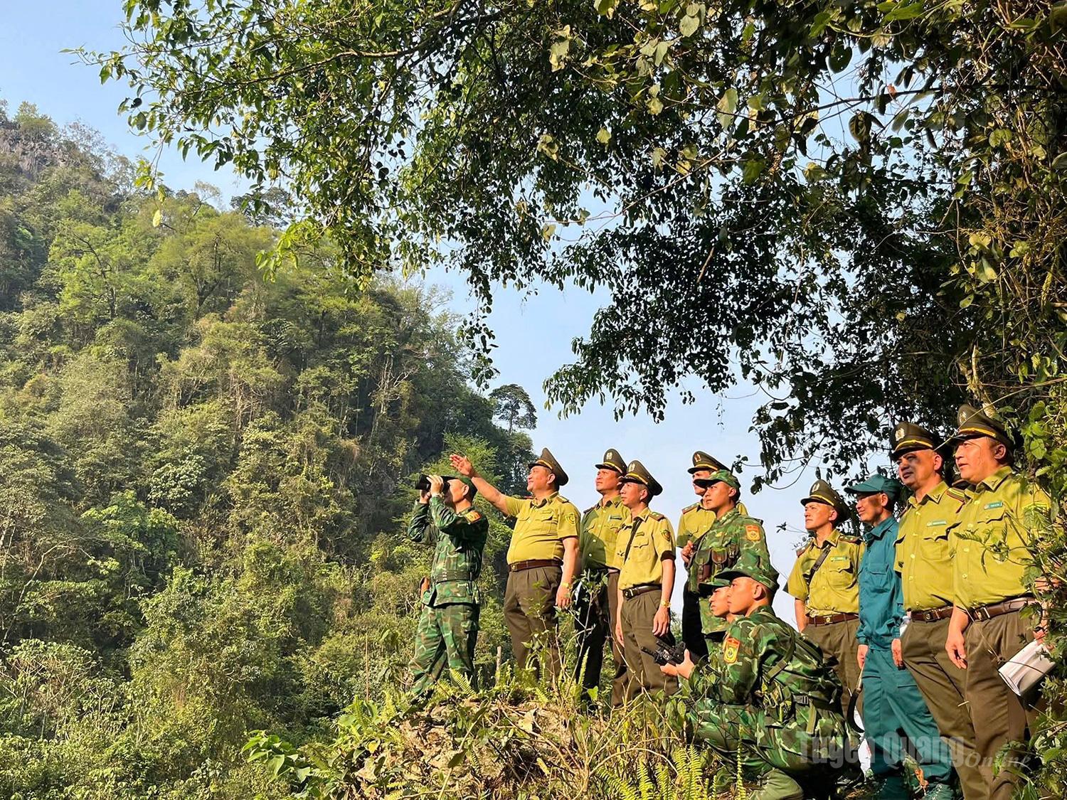 Forest protection forces coordinate with Son Vi Border Guard Station to patrol forest areas along the border.