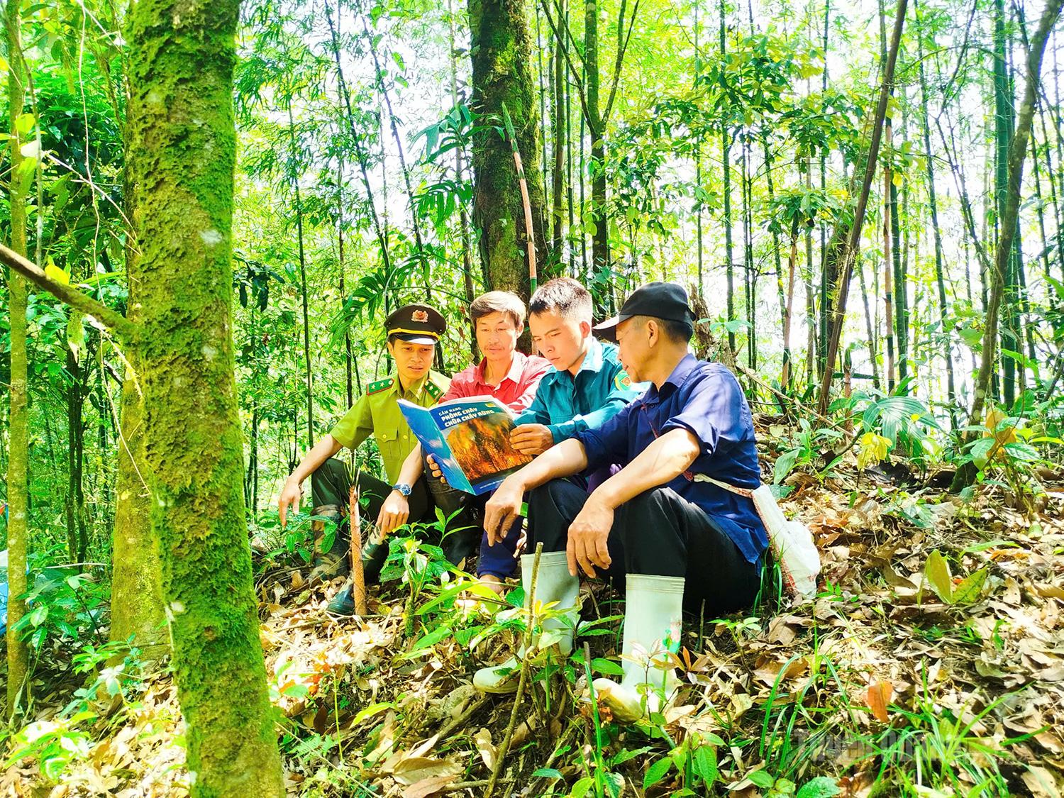 Forest rangers and forest owners regularly update information on forest fire prevention and control.