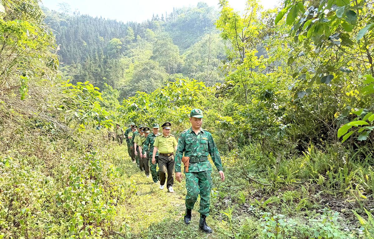 Cán bộ Đồn Biên phòng Sơn Vĩ và Kiểm lâm khu vực XVI tuần tra, kiểm soát biên giới gắn với bảo vệ rừng.