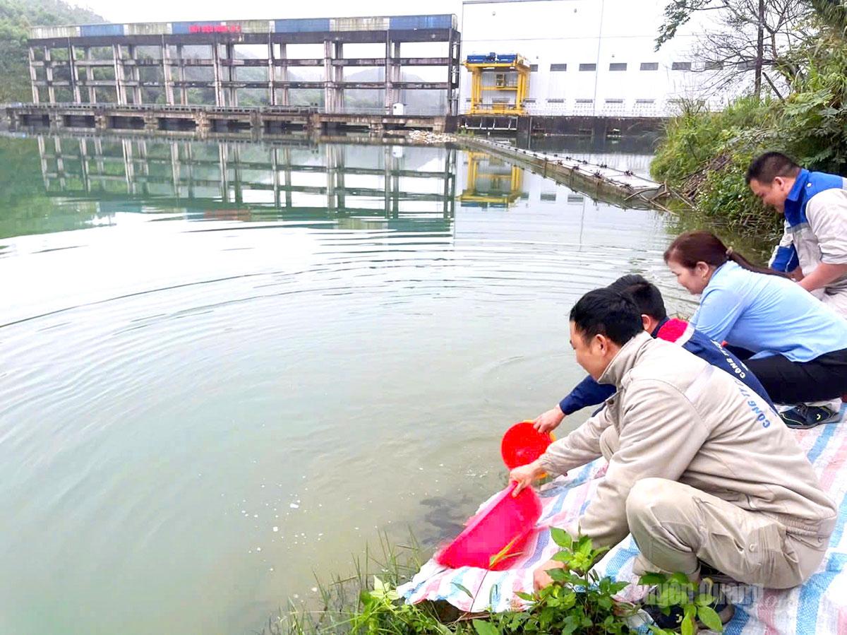 Cán bộ Công ty Cổ phần Thủy điện Sông Lô 4 thả cá giống, góp phần tái tạo nguồn lợi thủy sản.