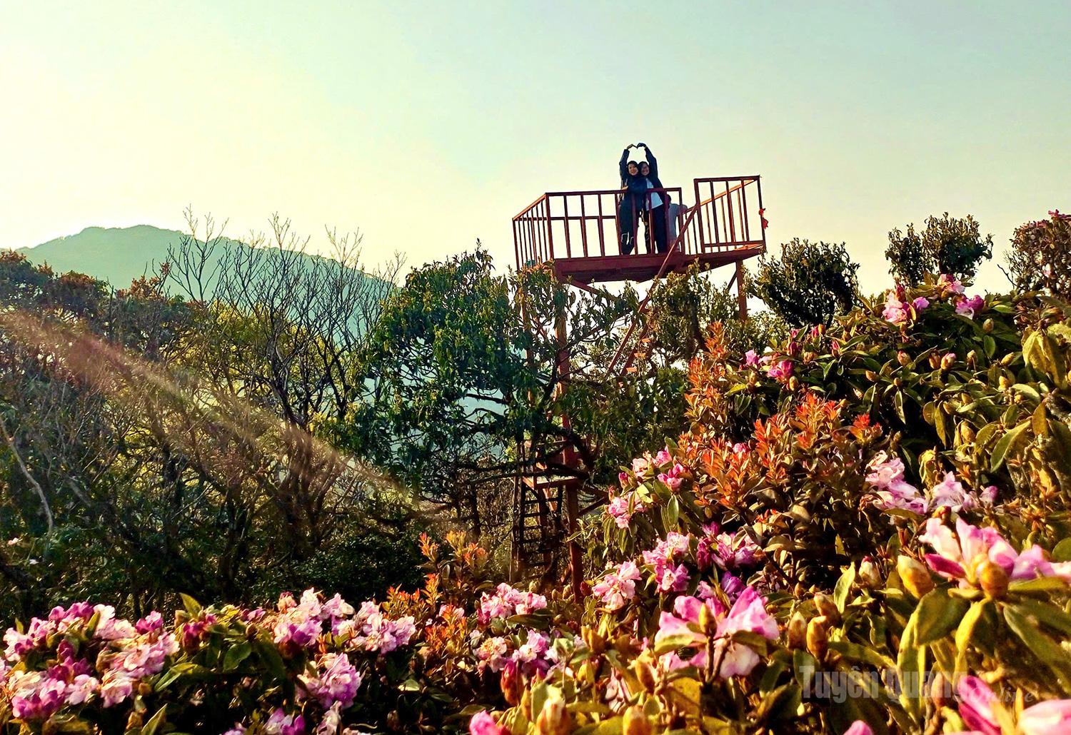 These days, visitors to Tuyen Quang can feast their eyes on white, pink, and yellow blossoms everywhere, as if draping the mountains and forests in a vibrant and refreshing new garment.