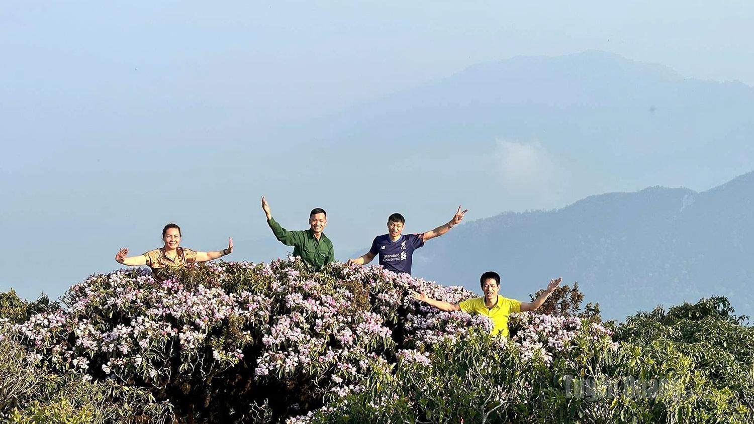 Amid the lush green forest, the flowers stand out so vividly that many liken the area to a “stream of flowers” flowing through the great wilderness.