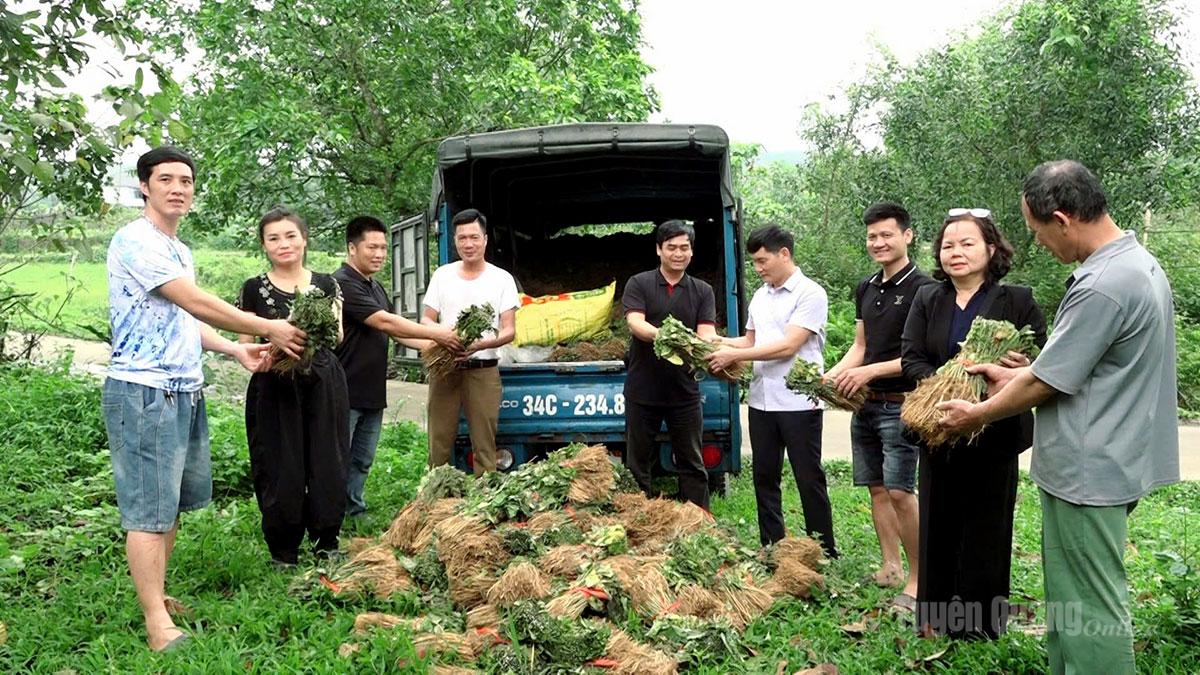 Đại diện Trung tâm Nghiên cứu dâu tằm tơ Trung ương và Trung tâm Hợp tác Nông nghiệp Quốc tế Hàn Quốc trao cây giống dâu tằm cho người dân thôn Minh Thắng 1.