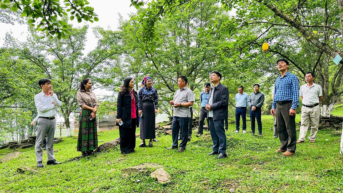 Đồng chí Vương Ngọc Hà, Ủy viên BTV Tỉnh ủy, Phó Chủ tịch UBND tỉnh khảo sát phát triển du lịch trên địa bàn xã Hồng Thái.