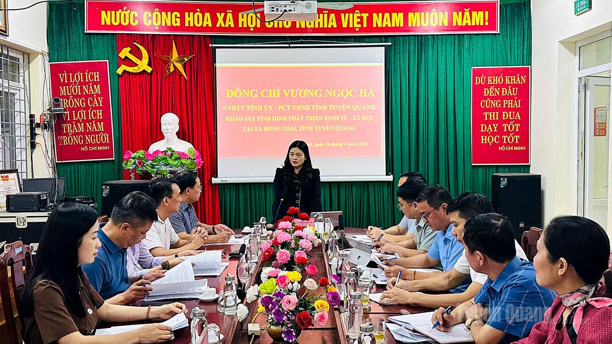 Đồng chí Vương Ngọc Hà, Ủy viên BTV Tỉnh ủy, Phó Chủ tịch UBND tỉnh kết luận buổi làm việc.