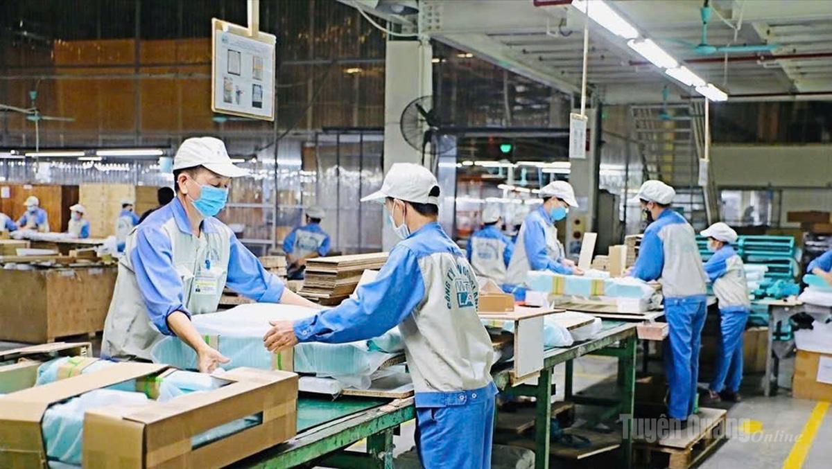 Công nhân Công ty cổ phần Woodsland Tuyên Quang đóng gói sản phẩm gỗ xuất khẩu trên dây chuyền sản xuất hiện đại.