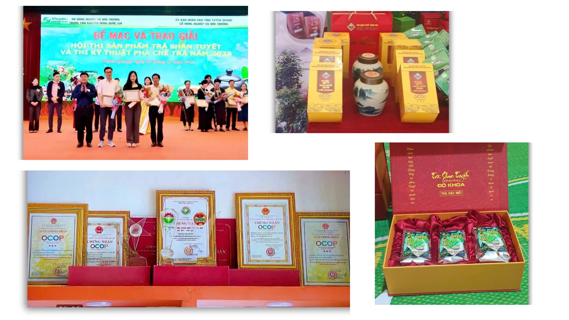 Long-established Do Khoa artisanal Shan Tuyet tea products.