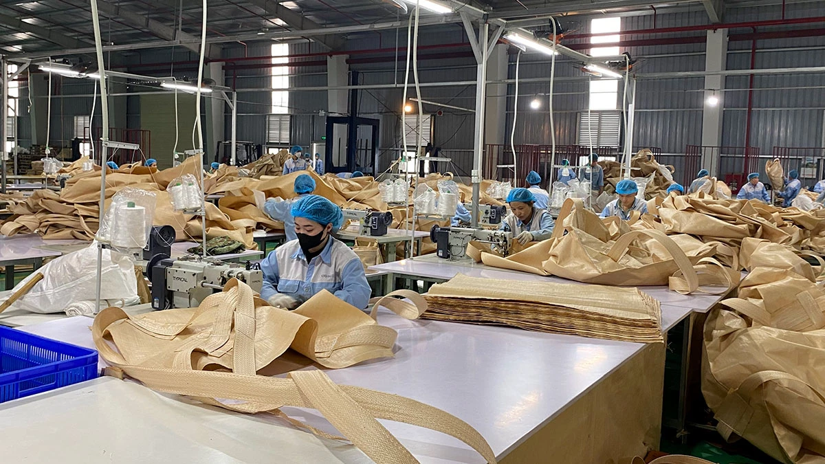 Sản xuất bao bì xuất khẩu tại Công ty HITARP Việt Nam, Cụm Công nghiệp Phúc Ứng, xã Sơn Dương.