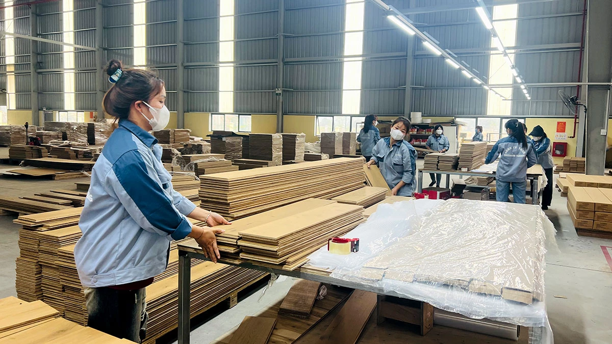 Sản xuất gỗ xuất khẩu tại Công ty TNHH Greenhome Flooring, cụm công nghiệp Thắng Quân, xã Yên Sơn.