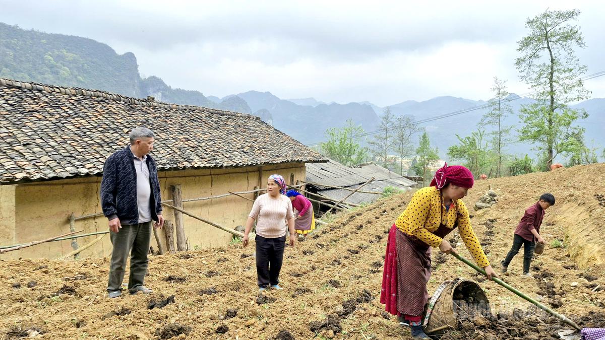 Trưởng thôn Củng Phủ Xuẩn thăm mô hình trồng cây rau màu của người dân.