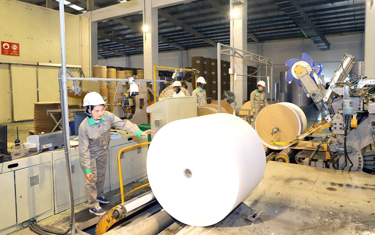Sản xuất giấy tại Công ty cổ phần Giấy An Hòa.