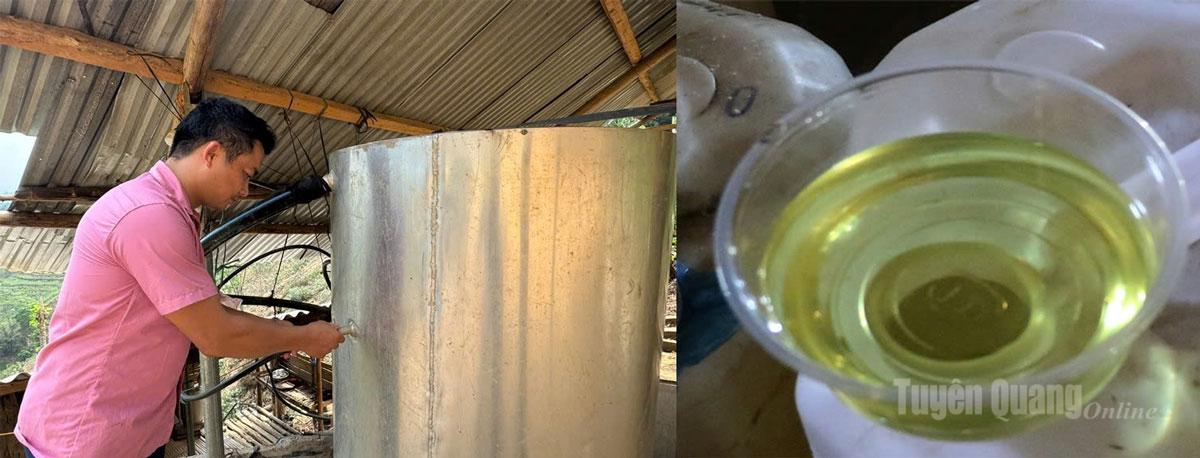 Cây hồi sau khi được chiết xuất sẽ cho tinh dầu màu vàng sánh và mùi thơm nhẹ.