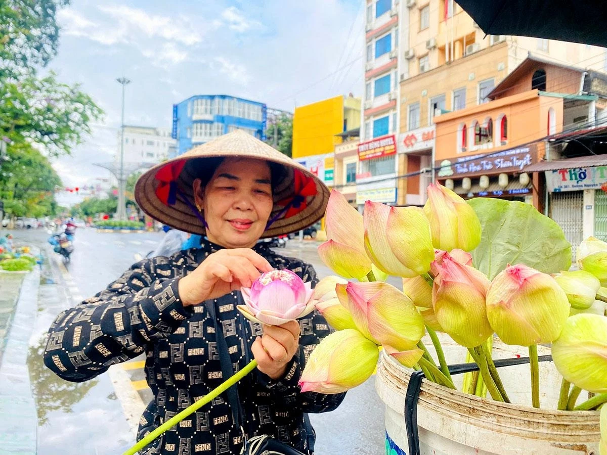 Carefully cherished by local people, pink lotus buds bring a gentle softness to familiar street corners.