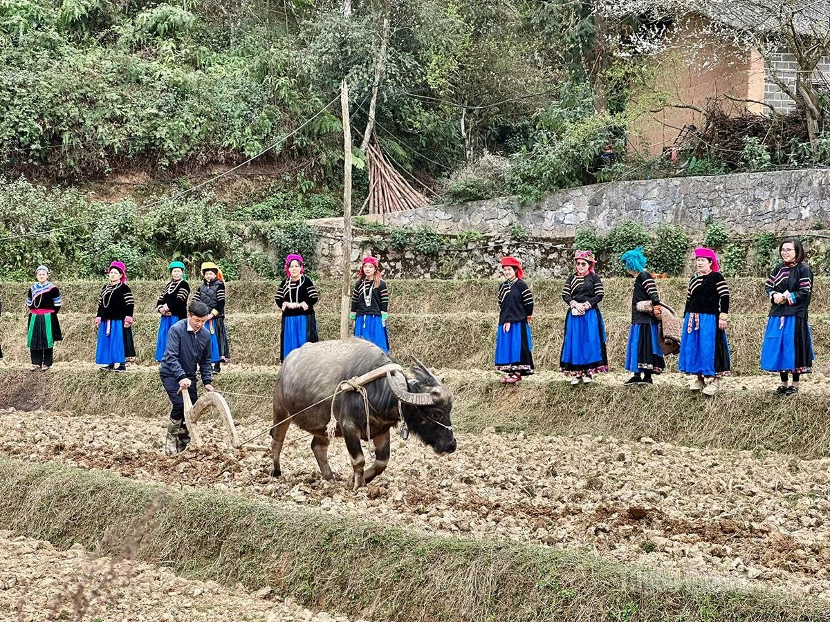 The field-opening ceremony of the Pu Peo ethnic people in Pho Bang has been recognized as a National Intangible Cultural Heritage.
