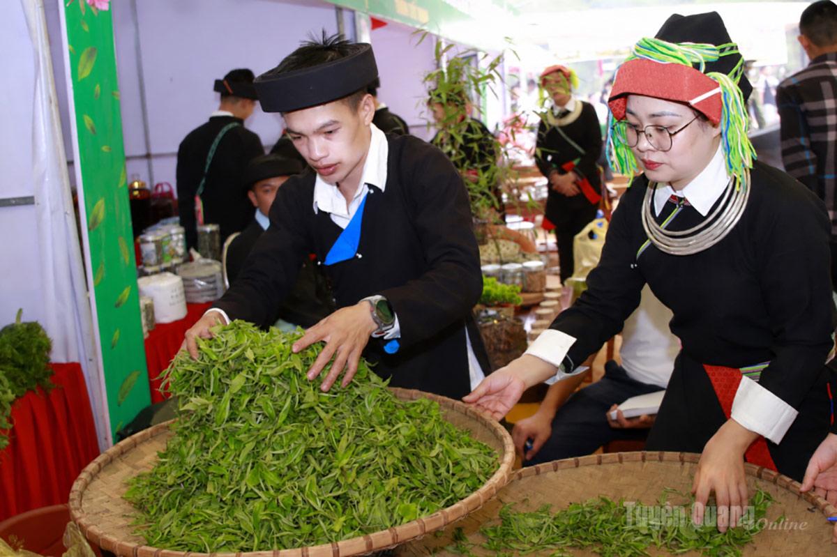 <em>Công đoạn sơ chế chè Shan tuyết của người dân xã Cao Bồ.</em>