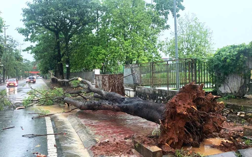 UBND tỉnh chỉ đạo: Các ngành, các cấp chủ động ứng phó với mưa lớn, lốc, sét, mưa đá, lũ quét, sạt lở đất