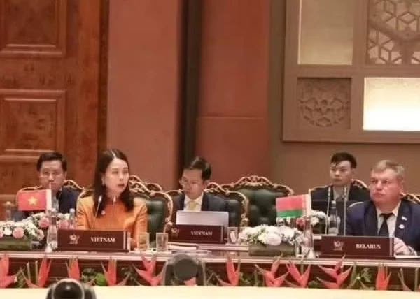 Deputy Foreign Minister Nguyen Minh Hang addresses the expanded Foreign Ministers’ Meeting of BRICS. (Photo: VNA)