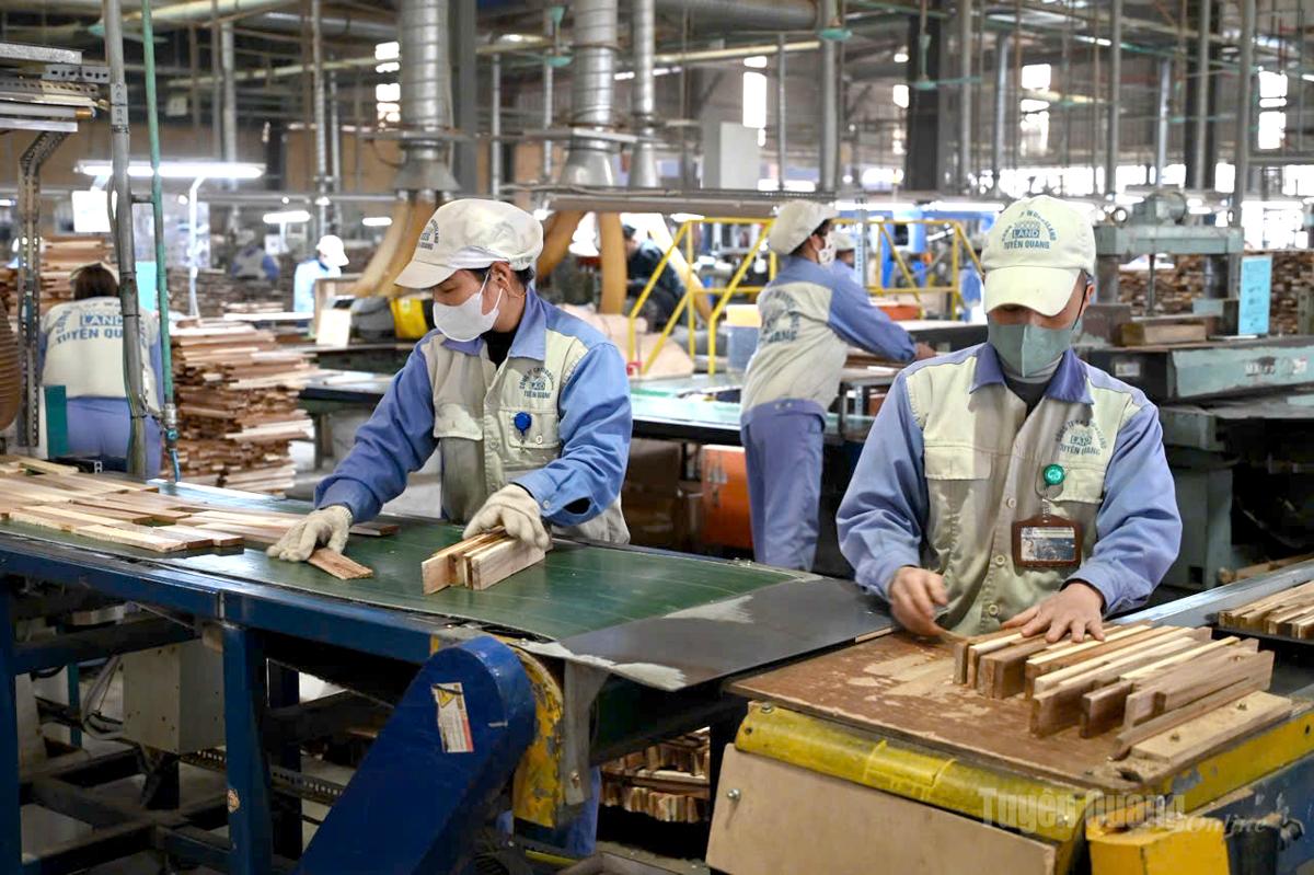 Đoàn viên, người lao động Công ty cổ phần Woodsland Tuyên Quang được quan tâm bảo vệ quyền và lợi ích hợp pháp.
