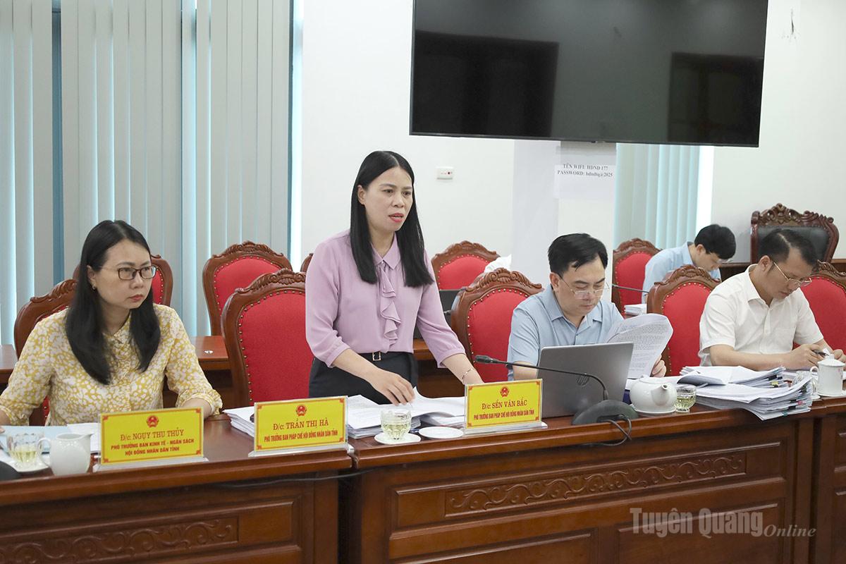 Lãnh đạo Ban Pháp chế HĐND tỉnh phát biểu ý kiến.