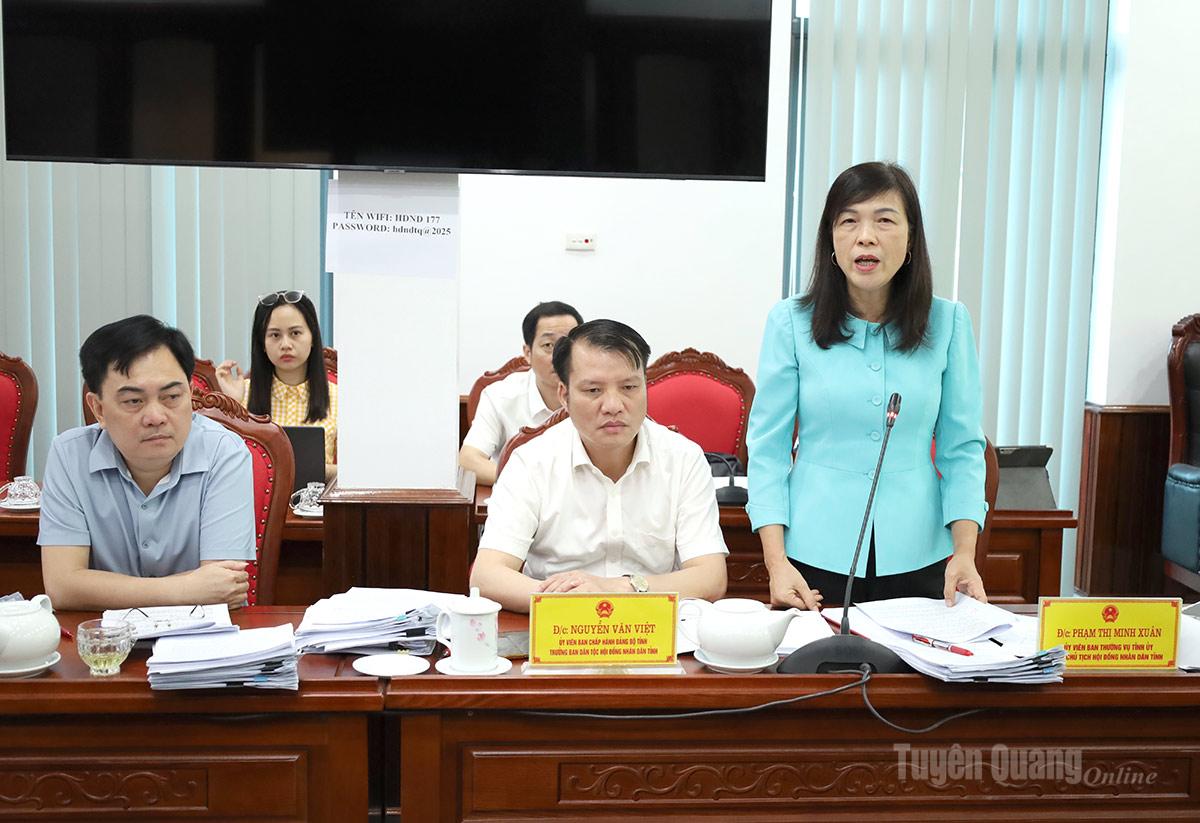 Đồng chí Phạm Thị Minh Xuân, Ủy viên Ban Thường vụ Tỉnh ủy, Phó Chủ tịch HĐND tỉnh phát biểu ý kiến.