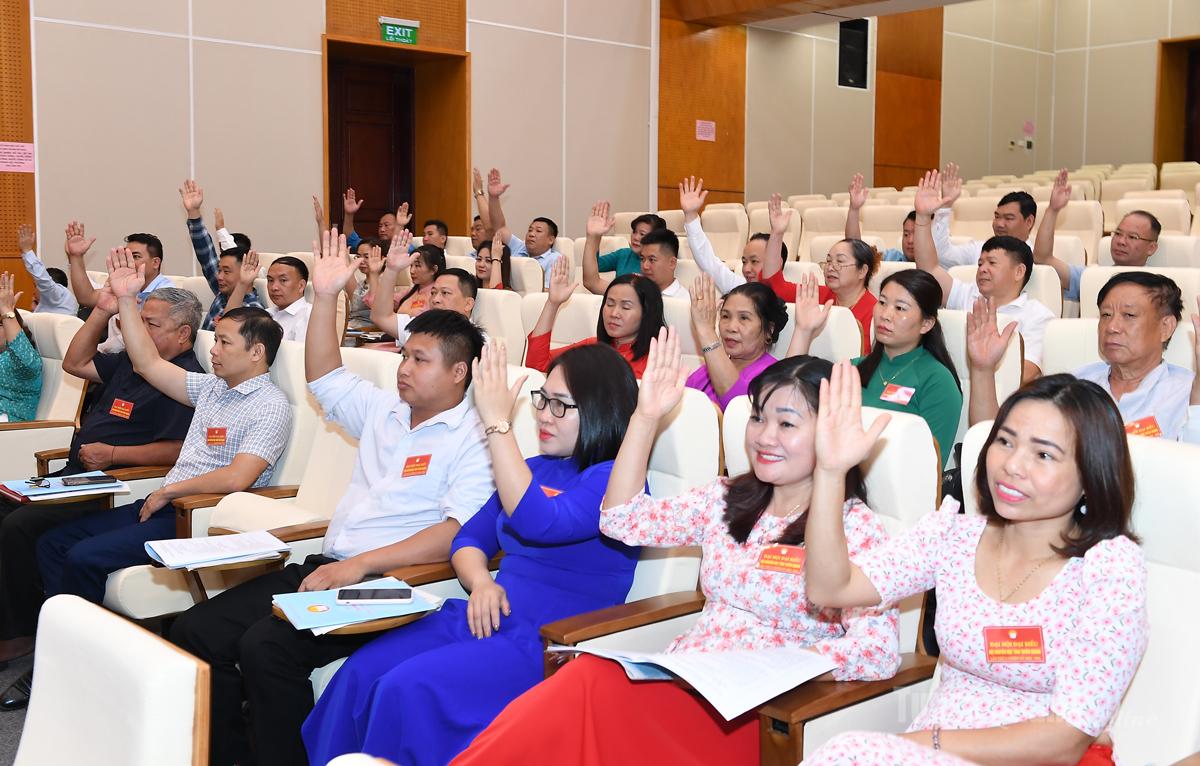 Đại biểu biểu quyết thông qua chương trình đại hội.