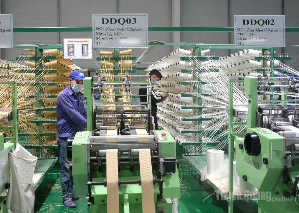 Export packaging yarn production at HITARP Vietnam Company, Phuc Ung 1 Industrial Cluster, Son Duong Commune.