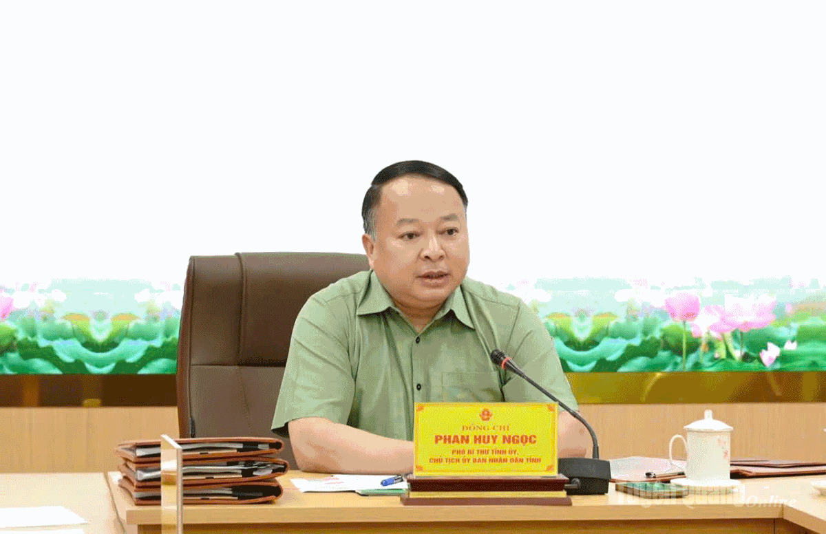 Chủ tịch UBND tỉnh Phan Huy Ngọc phát biểu kết luận buổi làm việc.