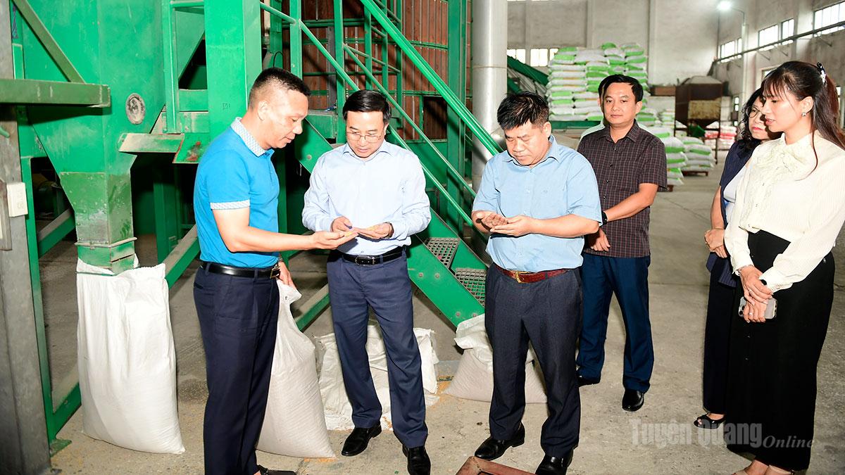 Đoàn công tác thăm dây chuyền nhà máy sản xuất giống của Công ty cổ phần tập đoàn Thaibinh Seed.