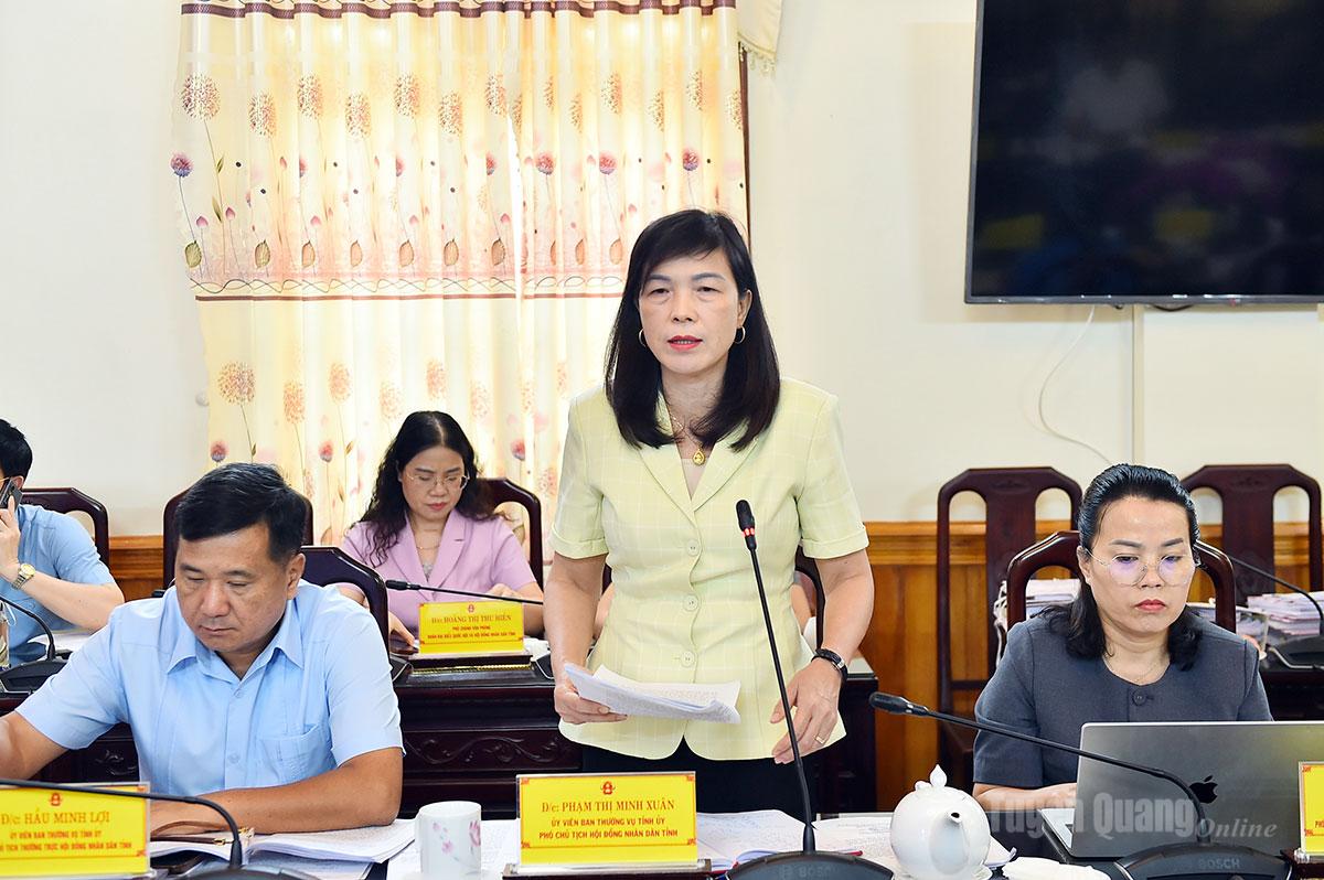 Đồng chí Phạm Thị Minh Xuân, Phó Chủ tịch HĐND tỉnh báo cáo tại buổi làm việc.
