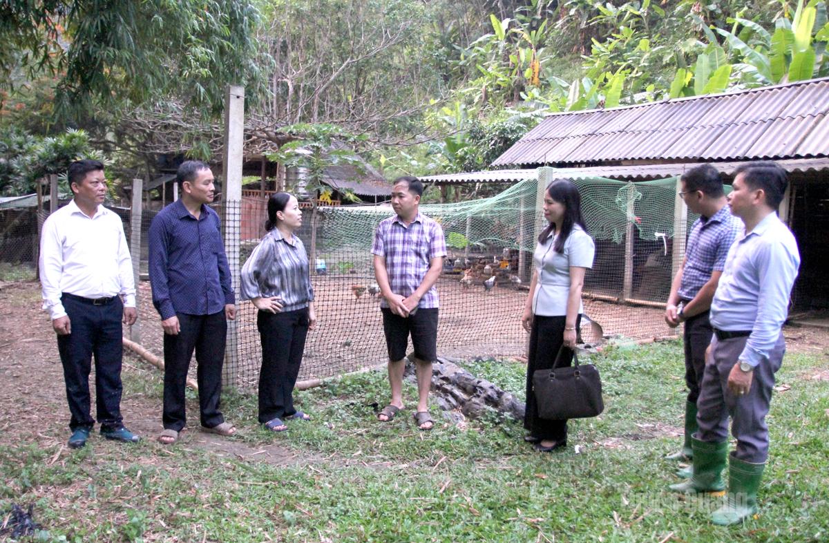 Các đồng chí trong đoàn công tác kiểm tra mô hình phát triển kinh tế tại thôn Làng Làm.