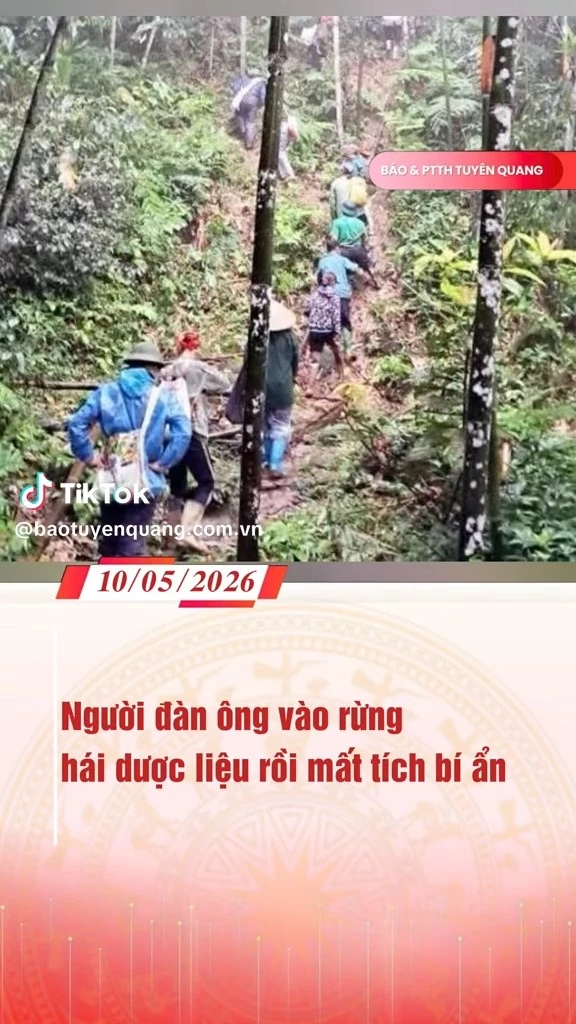 Người đ&agrave;n &ocirc;ng v&agrave;o rừng h&aacute;i dược liệu rồi mất t&iacute;ch b&iacute; ẩn