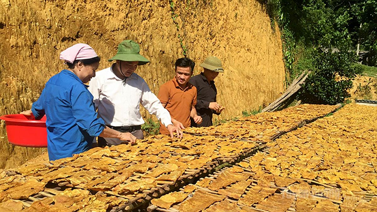 Các công đoạn chế biến thủ công, đảm bảo an toàn cho sản phẩm Măng khô ở Tri Phú.