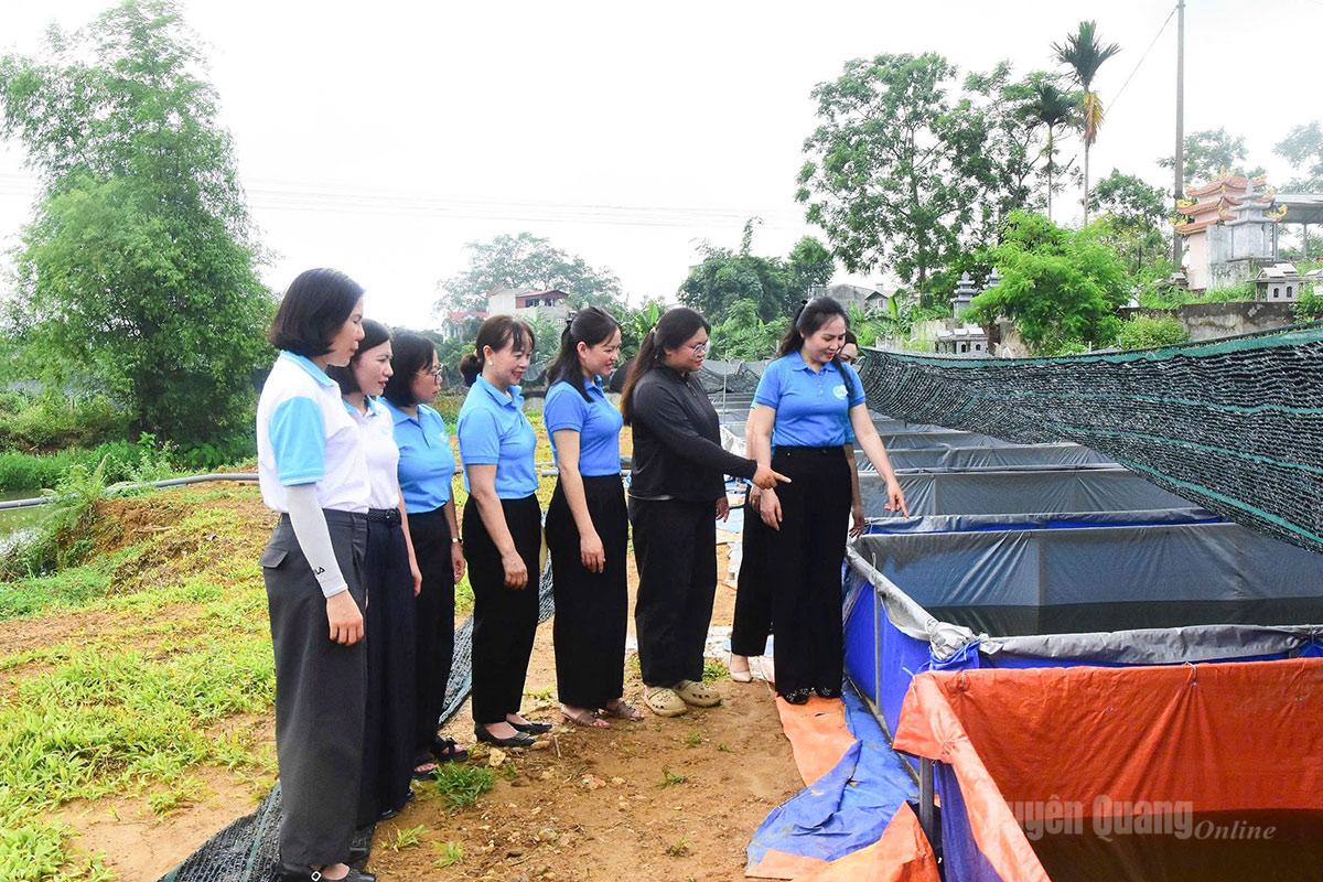 Đại biểu tham quan mô hình nuôi ếch của hội viên phụ nữ tại phường An Tường.