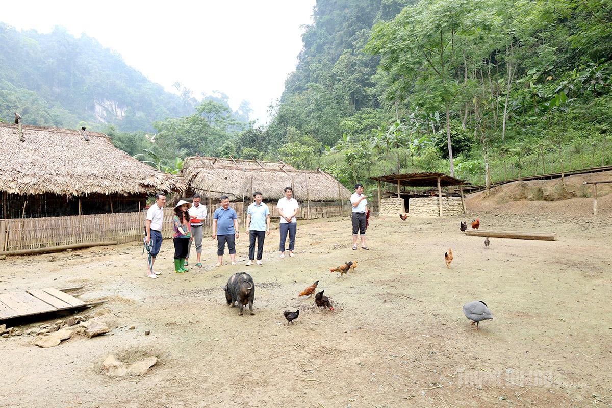 Đồng chí Vương Ngọc Hà, Uỷ viên Ban Thường vụ Tỉnh uỷ, Phó Chủ tịch UBND tỉnh cùng lãnh đạo xã Lâm Bình thăm quan mô hình làm Youtube trên địa bàn xã.