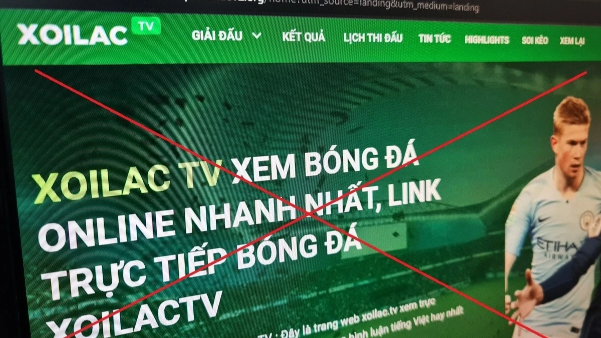 Luật Sở hữu trí tuệ sửa đổi: “Liều thuốc mạnh" với vi phạm bản quyền số