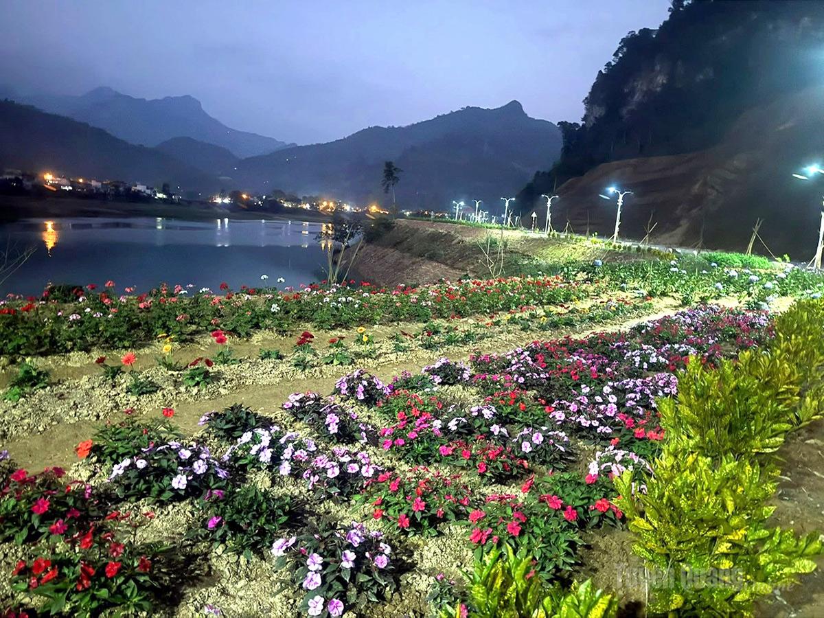 Khi đêm xuống, ánh điện lung linh càng làm nổi bật vẻ đẹp mềm mại của các loài hoa, khiến bờ Nam sông Gâm thêm phần huyền ảo.