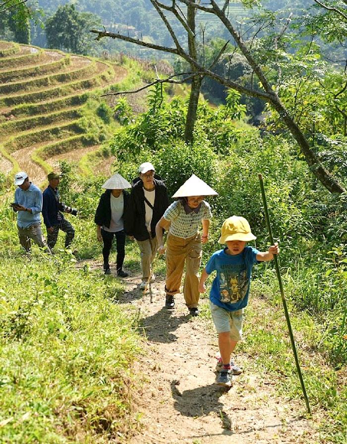 Khách du lịch đi bộ trải nghiệm phong cảnh giữa núi rừng Thông Nguyên.