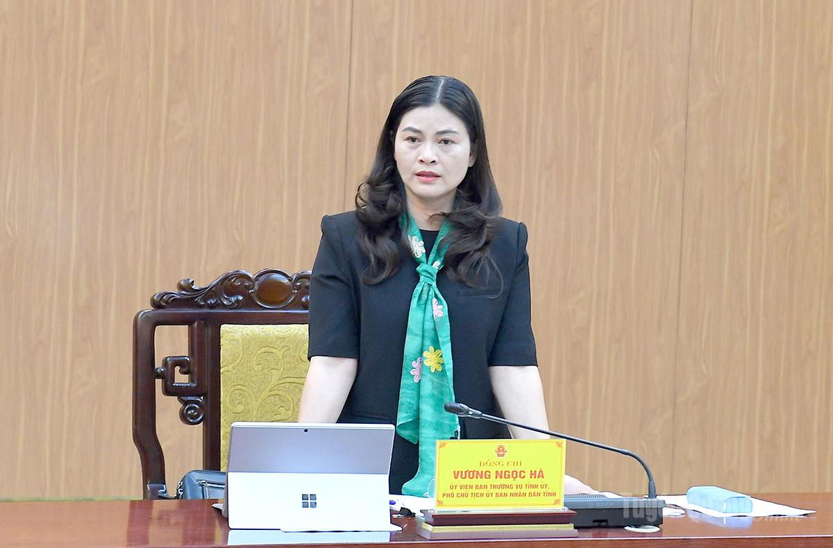 Đồng chí Phó Chủ tịch UBND tỉnh Vương Ngọc Hà phát biểu tại buổi làm việc.