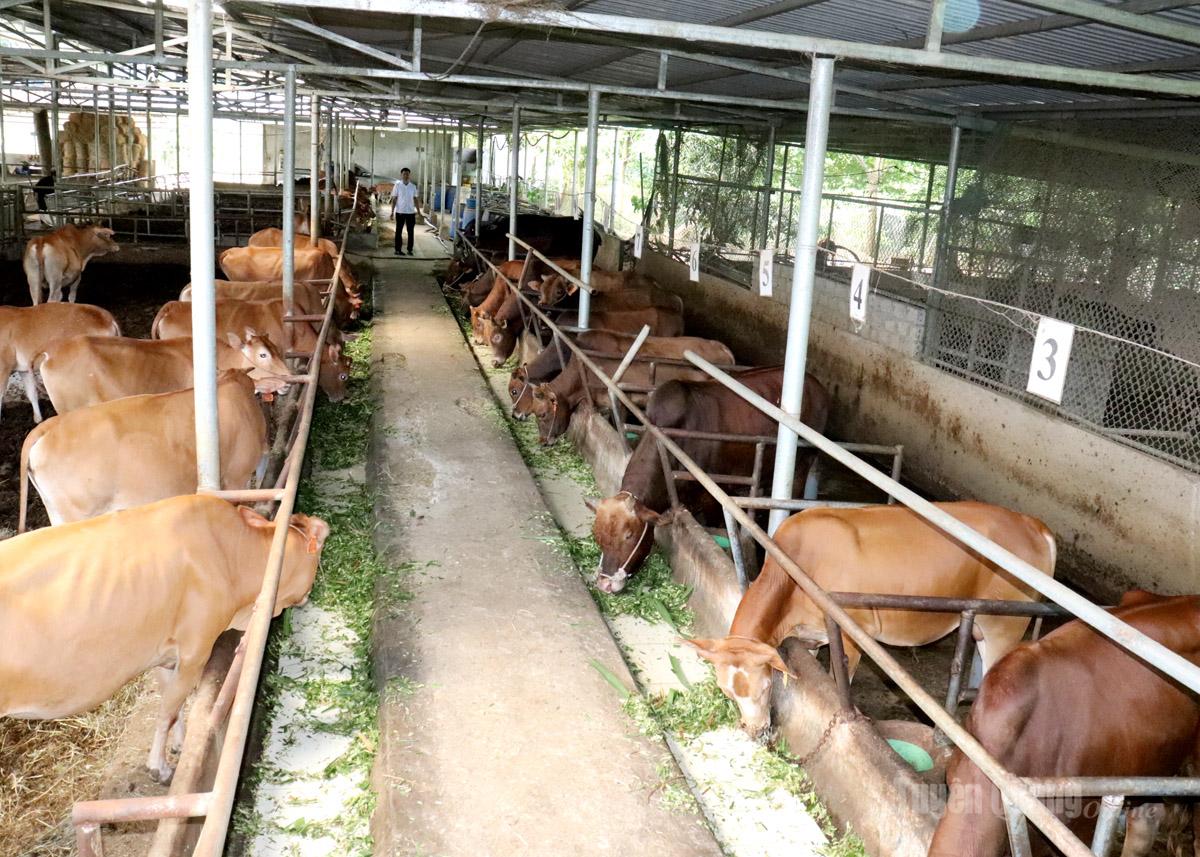 Tỉnh đặt mục tiêu thu nhập bình quân của người dân nông thôn năm 2030 tăng gấp 1,5 lần so với năm 2025.