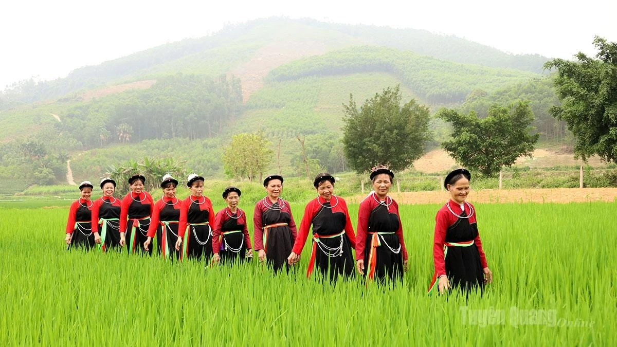 Amid the green mountains and rice fields, Cao Lan villagers in traditional costumes create a peaceful and culturally distinctive image in Trai Xoan Hamlet.