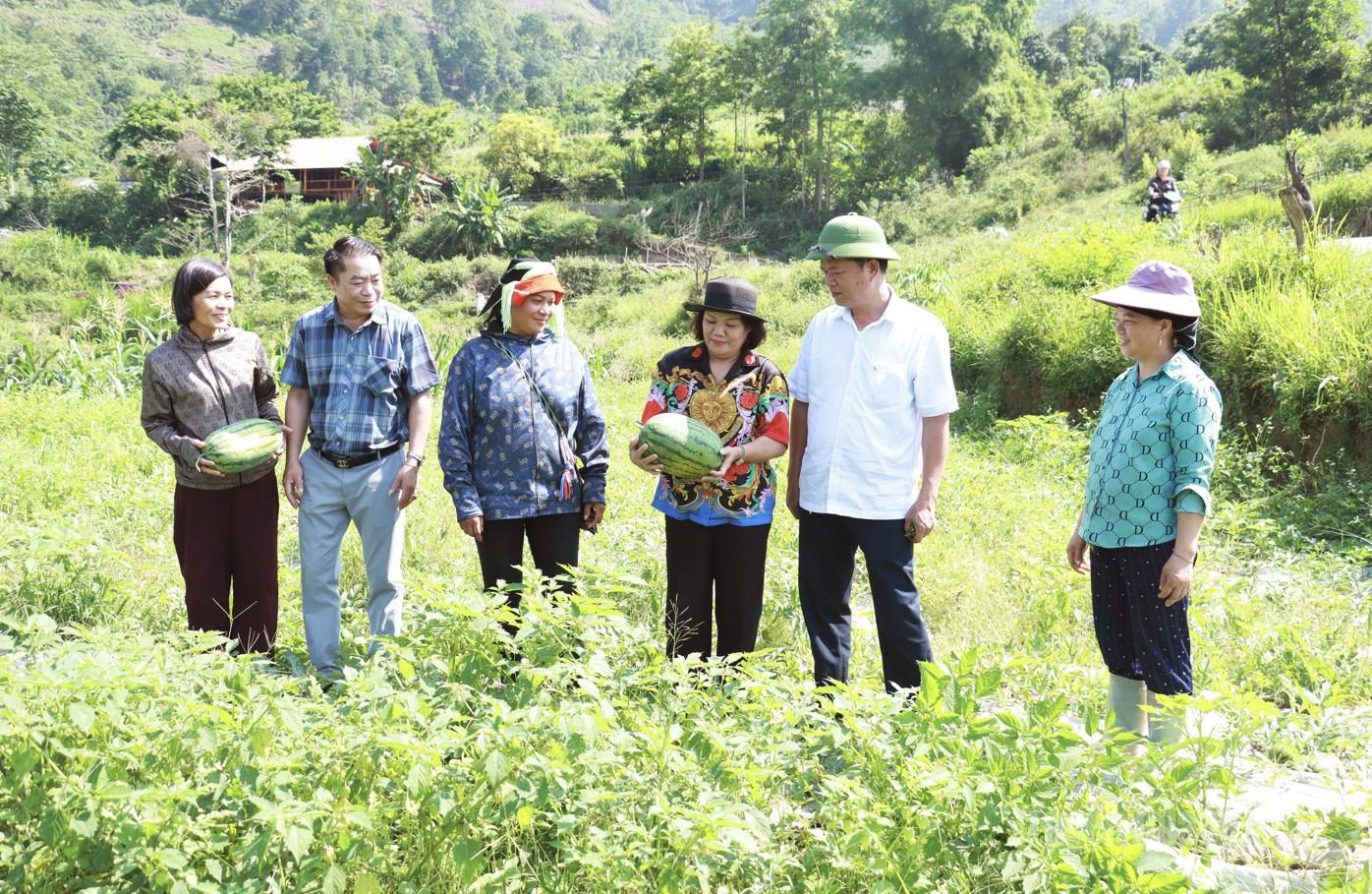 Cán bộ xã Minh Ngọc
khảo sát mô hình
trồng dưa hấu trên địa bàn.