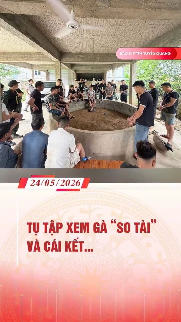 Tụ tập xem g&agrave; &ldquo;so t&agrave;i&rdquo; v&agrave; c&aacute;i kết&hellip;