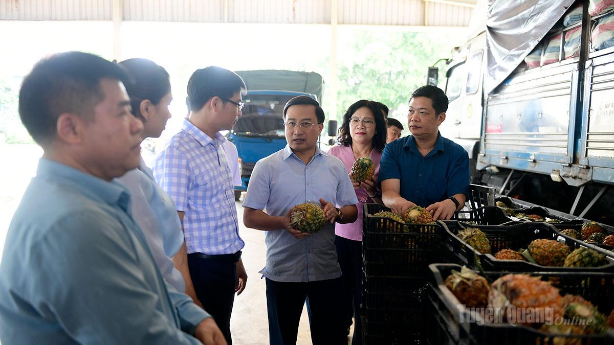 Đoàn công tác thăm Nhà máy chế biến rau quả, Công ty Cổ phần thực phẩm xuất khẩu Đồng Giao.