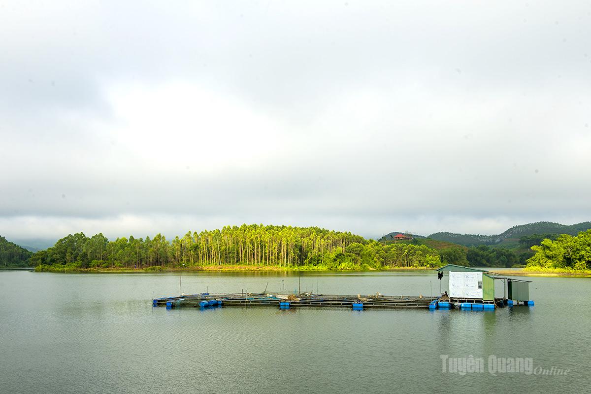 Đập thủy lợi Ngòi Là, phường Minh Xuân được đầu tư, nâng cấp cung cấp nước tưới và tạo điều kiện để người dân phát triển thủy sản, nâng cao thu nhập.