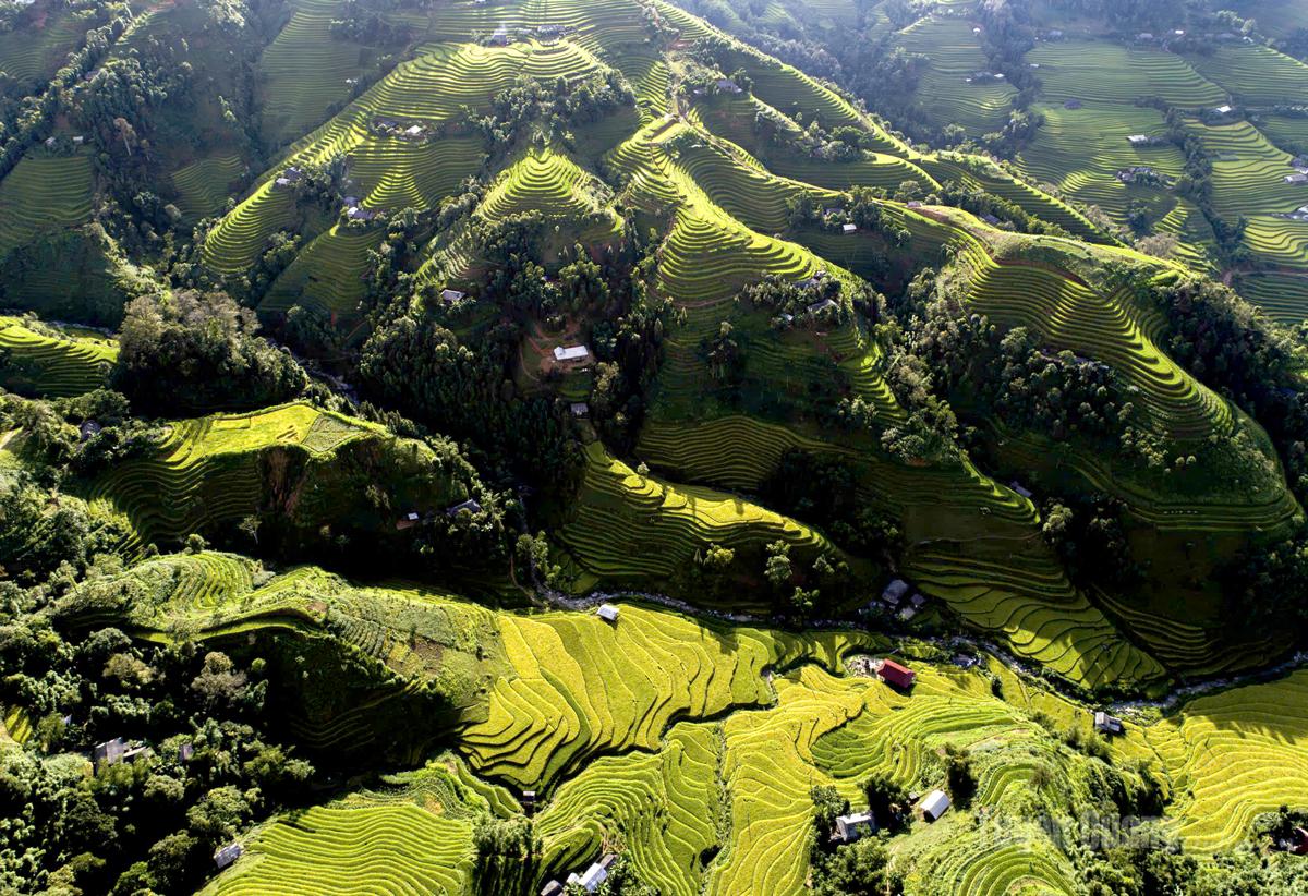 Ruộng bậc thang
Suối Thầu 2.