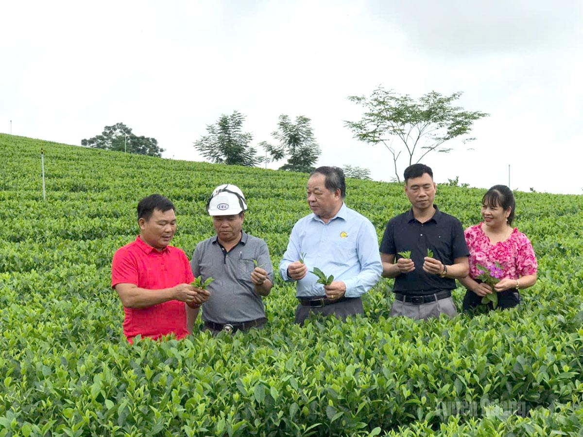 Bài cuối: Cơ hội cho nông nghiệp xanh